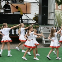 leinoelfet2008_14