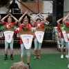 leinoelfet2008_34