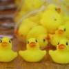 kinderfest2018_07