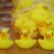 kinderfest2018_07