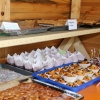 kinderfest2025_006